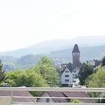 Hotel & Muehlenapartments By Avera Gmbh 3*