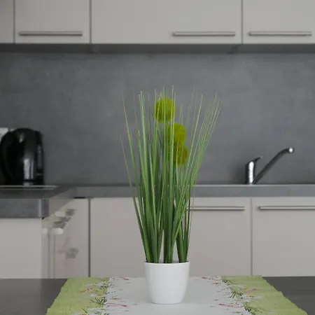 & Muehlenapartments By Avera Gmbh