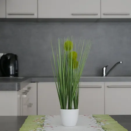 & Muehlenapartments By Avera Gmbh